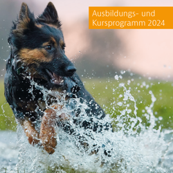Ausbildungs- und Kursprogramm
